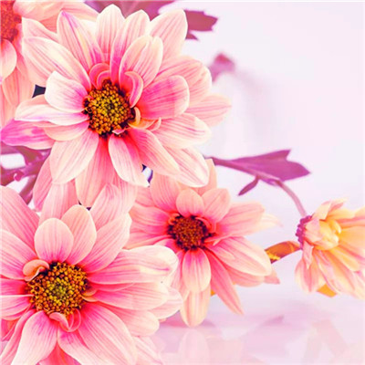 2023年最火微信头像女转好运(精选12张)