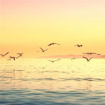 适合长期用的微信头像中年人