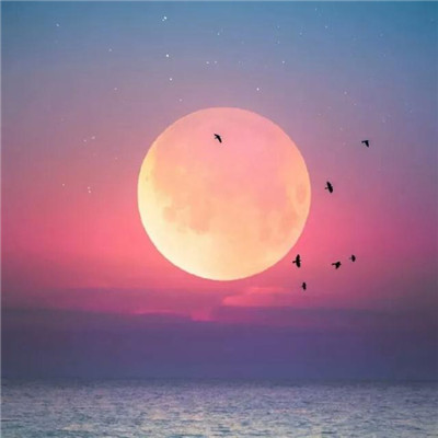 女人最适合的微信头像2023(精选14张)