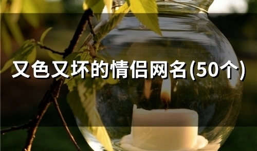 又色又坏的情侣网名(精选60个)