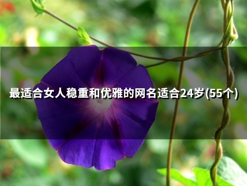 最适合女人稳重和优雅的网名适合24岁(58个) 最适合女人稳重和优雅的网名适合24岁(58个)