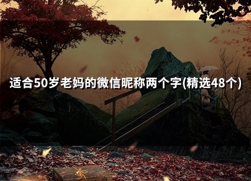 适合50岁老妈的微信昵称两个字(31个)