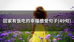 回家有饭吃的幸福感受句子(精选39句)