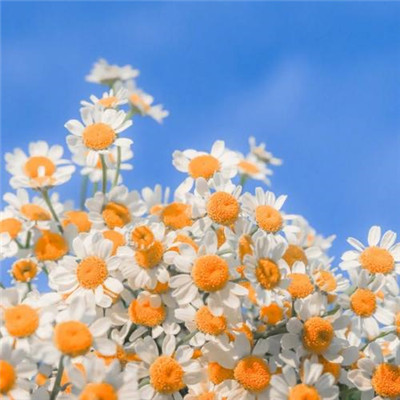 2023微信头像图片最火风景(精选12张)