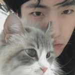 2023年最火的头像男(精选12张)