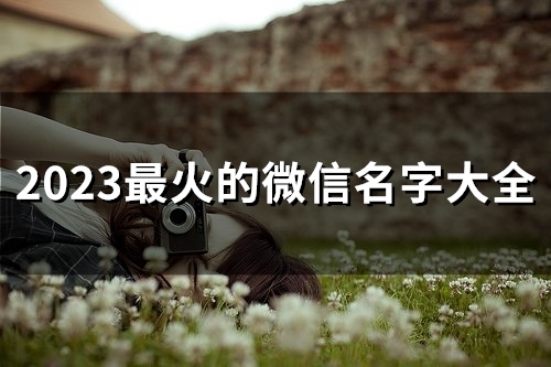 2023最火的微信名字大全(52个)