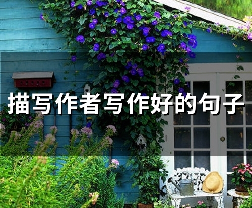 描写作者写作好的句子(精选50句)