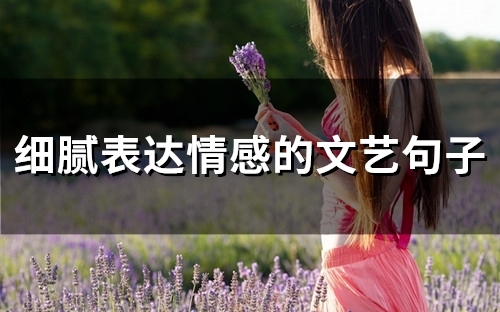 细腻表达情感的文艺句子(53句)