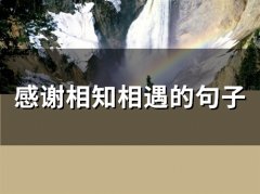 感谢相知相遇的句子(45句)