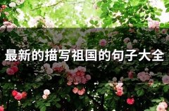 最新的描写祖国的句子大全(55句)