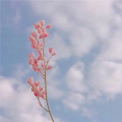 30一40岁女人微信头像风景(精选16张)