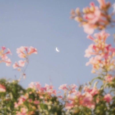 30一40岁女人微信头像风景(精选16张)