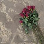 30一40岁女人微信头像风景(精选16张)