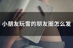 小朋友玩雪的朋友圈怎么发(精选52句)