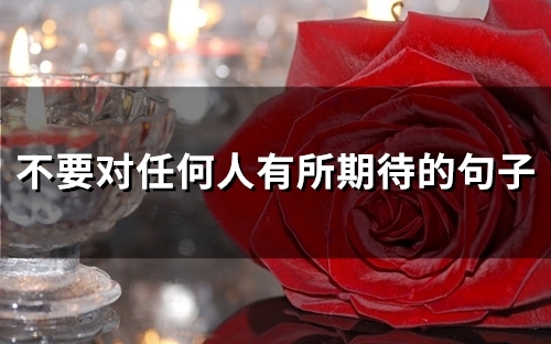 不要对任何人有所期待的句子(51句)