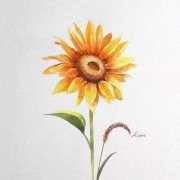 女人吉利健康好运的微信头像(精选12张)