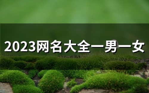 2023网名大全一男一女(68个)