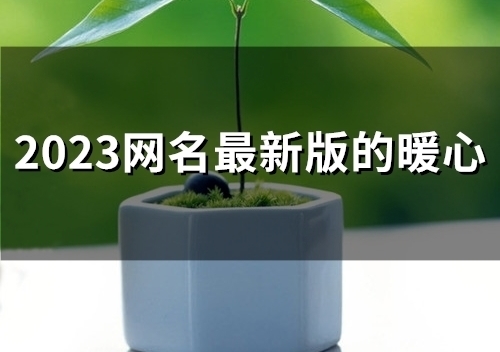 2023网名最新版的暖心(45个)