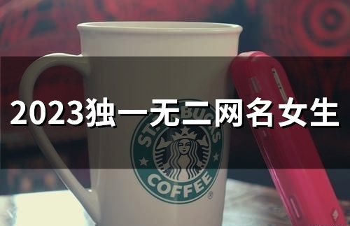 2023独一无二网名女生(55个)