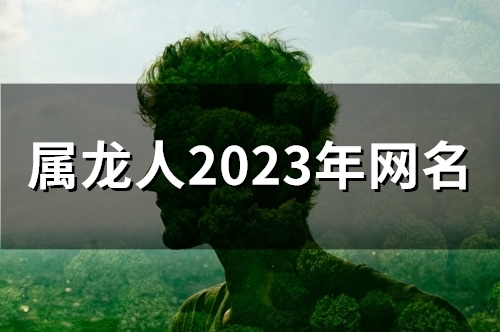 属龙人2023年网名(精选47个)