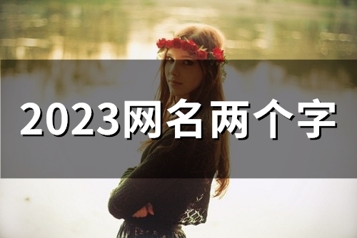 2023网名两个字(60个)