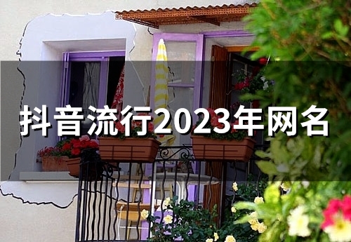 抖音流行2023年网名(精选55个)