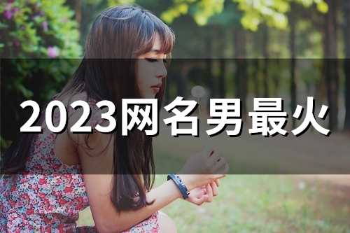 2023网名男最火(精选47个)