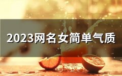 2023网名女简单气质(46个)