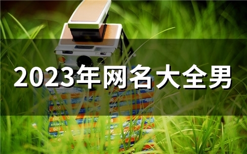 2023年网名大全男(47个)