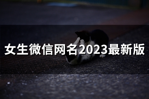 女生微信网名2023最新版(59个)