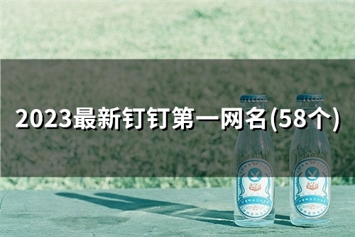 2023最新钉钉第一网名(精选60个) 2023最新钉钉第一网名(精选60个)