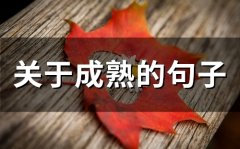关于成熟的句子(精选51句)