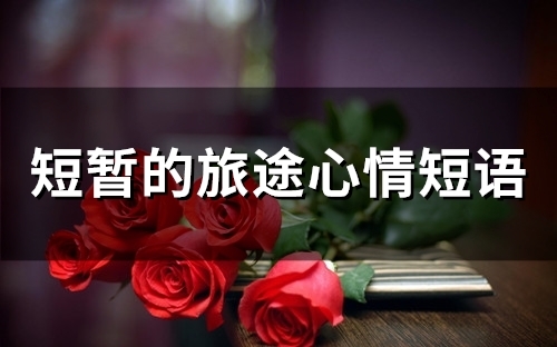 短暂的旅途心情短语(46句)
