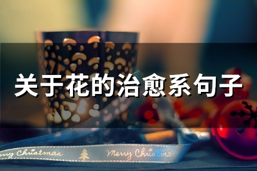 关于花的治愈系句子(54句)