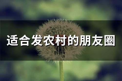 适合发农村的朋友圈(精选46句)