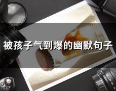 被孩子气到爆的幽默句子(精选51句)