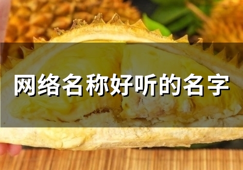 网络名称好听的名字(精选47个)
