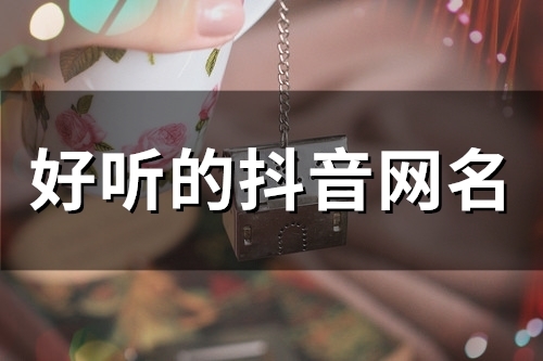 好听的抖音网名(51个)