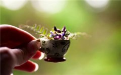 第一眼就惊艳的情侣网名(精选69个)