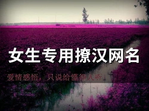 女生专用撩汉网名(51个) 女生专用撩汉网名(51个)