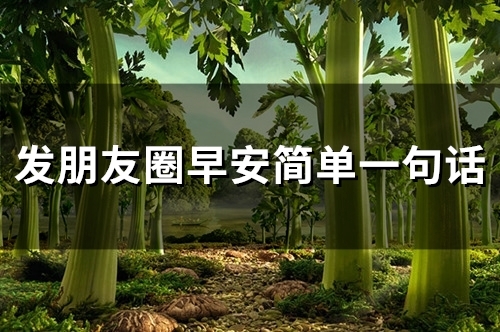 发朋友圈早安简单一句话(59句)