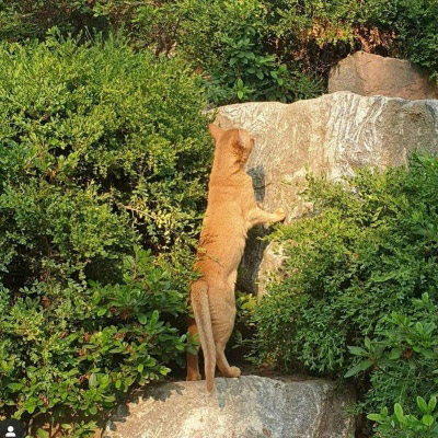 适合四十岁女人用的微信头像(精选14张)