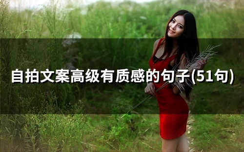 自拍文案高级有质感的句子(精选51句) 自拍文案高级有质感的句子(精选51句)