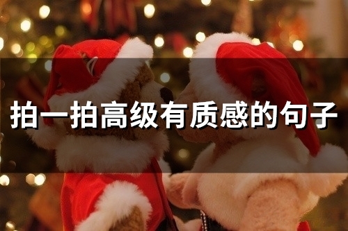 拍一拍高级有质感的句子(精选55句) 拍一拍高级有质感的句子(精选55句)