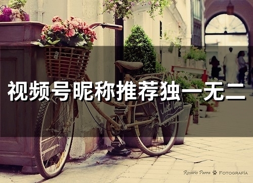 视频号昵称推荐独一无二(47个)