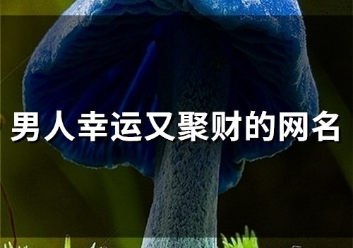 男人幸运又聚财的网名(精选47个)