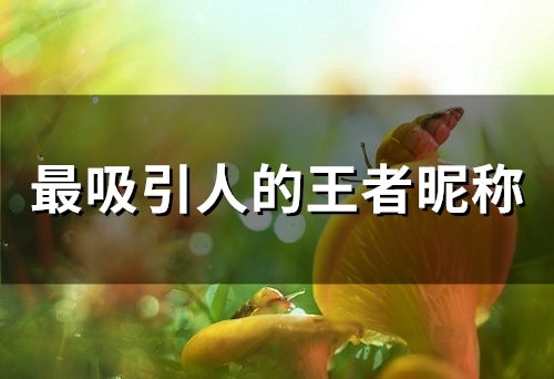 最吸引人的王者昵称(精选45个)