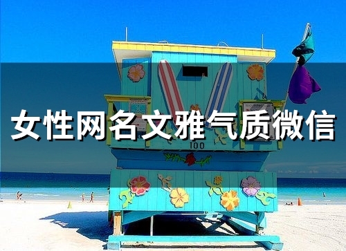 女性网名文雅气质微信(精选51个)