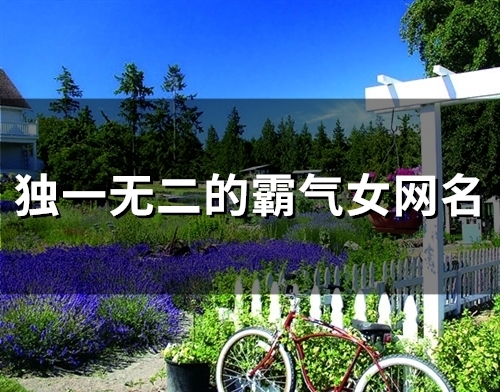 独一无二的霸气女网名(56个)