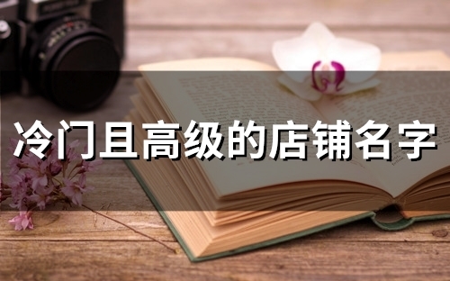 冷门且高级的店铺名字(58个)